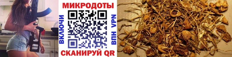площадка Telegram  kraken вход  Томари  купить   Галлюциногенные грибы ЛСД 